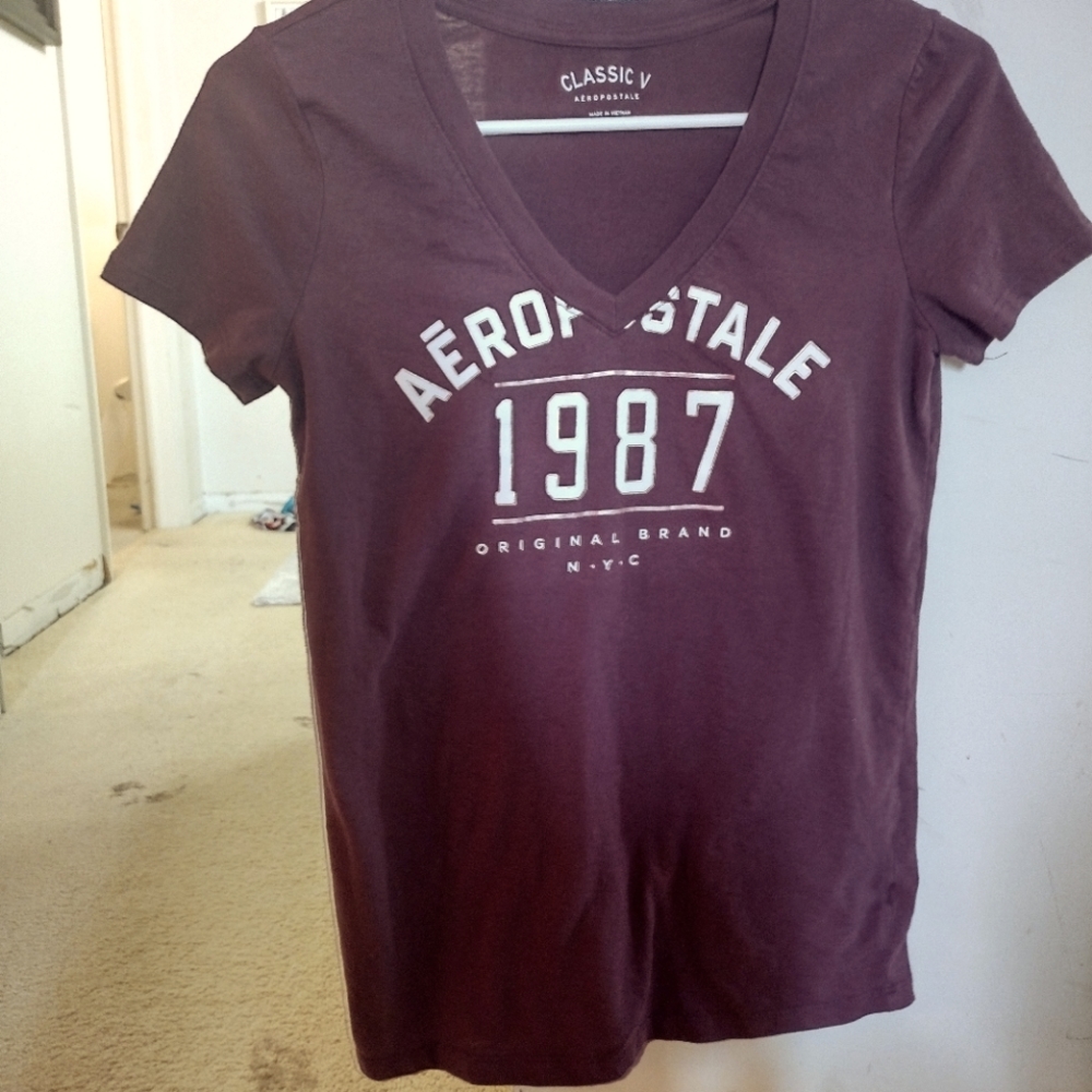 Aeropastle maroon v neck tee